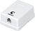 Розетка Cabeus WS-6P4C-TEL-1 телеф. RJ12 1 бел.