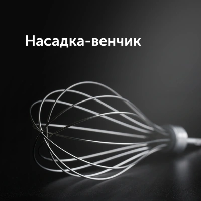 Блендер погружной Red Solution HB2901 1200Вт серебристый/черный