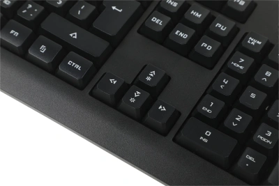 Клавиатура A4Tech Q100 черный USB for gamer LED (Q100 USB) кабель 1.8м