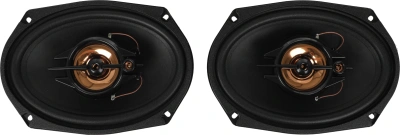 Колонки автомобильные ACV PB-693G 240Вт 88дБ 4Ом 16x23см (6x9дюйм) (ком.:2кол.) коаксиальные трехполосные