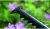 Кусторез Bosch EasyHedgeCut 55 (0600847C02)