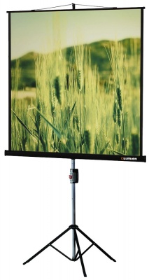 Экран Lumien 67" 127x127см Master Picture LMP-100101 1:1 настенный рулонный белый