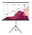 Экран Cactus 100" 180x180см Triscreen CS-PST-180x180 1:1 напольный рулонный черный