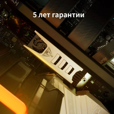 Накопитель SSD Patriot PCIe 5.0 x4 2TB PV553P2TBM28H PV553 M.2 2280