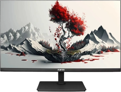 Монитор RDW Computers 23.8" RDW2401K черный IPS 4ms 16:9 HDMI матовая 300cd 178гр/178гр 1920x1080 100Hz VGA DP FHD 4.185кг (RUS)