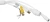 Камера видеонаблюдения IP Dahua DH-IPC-HDBW3441FP-AS-0360B-S2 3.6-3.6мм цв. корп.:белый Камера видеонаблюдения IP Dahua DH-IPC-HDBW3441FP-AS-0360B-S2 3.6-3.6мм цв. корп.:белый