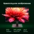 Моноблок Digma Pro Vision 23.8" Full HD Ryzen 3 5425U (2.7) 8Gb SSD256Gb RGr CR Windows 11 Pro Eth WiFi BT 90W клавиатура мышь Cam черный 1920x1080