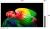 Телевизор OLED LG 55" OLED55B6RLA.ARU коричневый/серый 4K Ultra HD 120Hz DVB-T2 DVB-C DVB-S2 USB WiFi Smart TV (RUS) Телевизор OLED LG 55" OLED55B6RLA.ARU коричневый/серый 4K Ultra HD 120Hz DVB-T2 DVB-C DVB-S2 USB WiFi Smart TV (RUS)