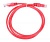 Патч-корд Lanmaster UTP TWT-45-45-0.5-RD вилка RJ-45-вилка RJ-45 кат.5е 0.5м красный ПВХ (уп.:1шт)