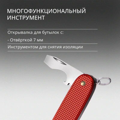 Нож перочинный Victorinox Pioneer X Alox LE 2025 Stone Red (0.8231.L25) 93мм 9функц. красный подар.коробка