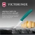 Нож кухонный Victorinox Swiss Classic (6.7634.C1) стальной столовый для чистки овощей и фруктов лезв.80мм серрейт. заточка зеленый Нож кухонный Victorinox Swiss Classic (6.7634.C1) стальной столовый для чистки овощей и фруктов лезв.80мм серрейт. заточка зеленый