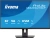 Монитор Iiyama 32" ProLite XB3294UHSCP-B1 черный VA LED 2ms 21:9 HDMI M/M матовая HAS 400cd 178гр/178гр 3440x2160 75Hz DP 4K USB 9.7кг Монитор Iiyama 32" ProLite XB3294UHSCP-B1 черный VA LED 2ms 21:9 HDMI M/M матовая HAS 400cd 178гр/178гр 3440x2160 75Hz DP 4K USB 9.7кг