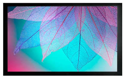 Экран на раме Cactus 99" 124x220см FrameExpert CS-PSFRE-220X124 16:9 настенный натяжной