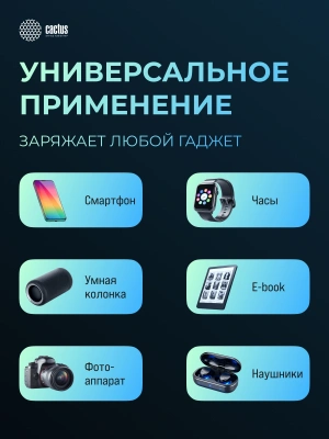 Мобильный аккумулятор Cactus CS-PBFSUA-10000 10000mAh 22.5W 4.5A USB-C беспров.зар. черный
