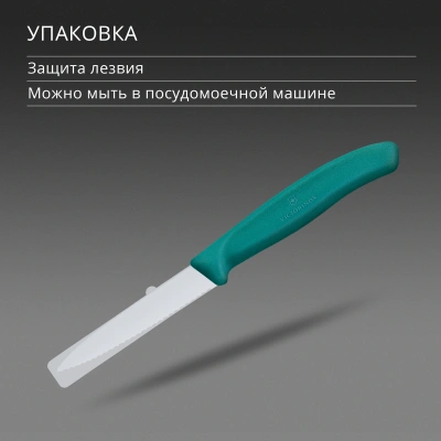 Нож кухонный Victorinox Swiss Classic (6.7634.C1) стальной столовый для чистки овощей и фруктов лезв.80мм серрейт. заточка зеленый