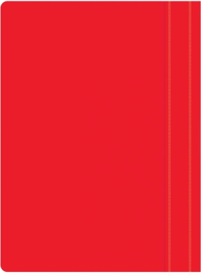 Папка-скоросшиватель Silwerhof SE-PSE20/RED A4 прозрач.верх.лист пластик красный 0.11/0.13