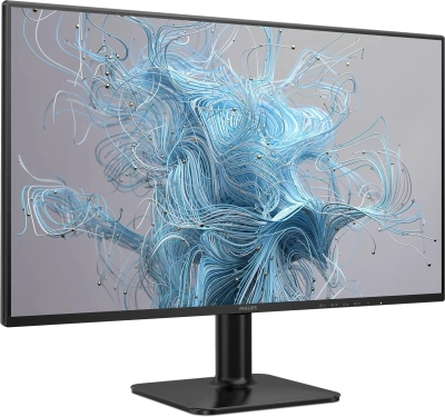 Монитор Philips 24" 24E2N1110 черный IPS LED 16:9 HDMI матовая 1500:1 300cd 178гр/178гр 1920x1080 120Hz VGA FHD 2.44кг