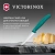 Нож кухонный Victorinox Swiss Classic (6.7604.C1) стальной универсальный для чистки овощей и фруктов лезв.80мм прямая заточка зеленый Нож кухонный Victorinox Swiss Classic (6.7604.C1) стальной универсальный для чистки овощей и фруктов лезв.80мм прямая заточка зеленый