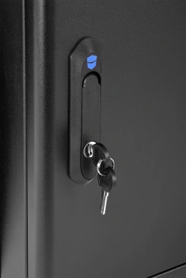 Шкаф коммутационный ЦМО (ШРН-М-12.650-9005) настенный 12U 600x650мм пер.дв.стекл 120кг черный 581мм 25.1кг 180град. 610мм IP20 металл