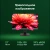 Моноблок Digma Pro Unity 27" Full HD i5 12400 (2.5) 16Gb SSD512Gb UHDG 730 CR Windows 11 Pro GbitEth WiFi BT 90W клавиатура мышь Cam серый/черный 1920x1080 Моноблок Digma Pro Unity 27" Full HD i5 12400 (2.5) 16Gb SSD512Gb UHDG 730 CR Windows 11 Pro GbitEth WiFi BT 90W клавиатура мышь Cam серый/черный 1920x1080