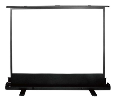 Экран Cactus 79" 120x160см FloorExpert CS-PSFLE-160X120 4:3 напольный рулонный