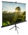 Экран Cactus 111" 200x200см TriExpert CS-PSTE-200x200-BK 1:1 напольный рулонный черный