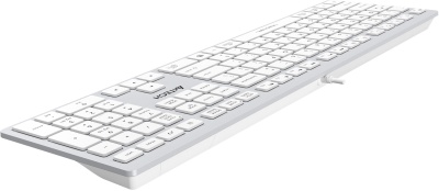 Клавиатура A4Tech FX50 белый USB slim Multimedia (FX50 WHITE) кабель 1.5м