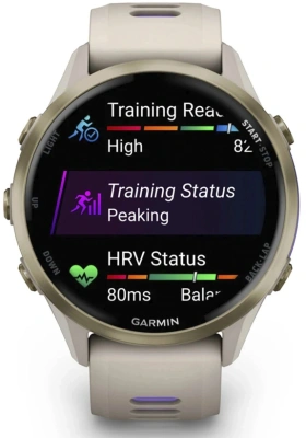 Смарт-часы Garmin Forerunner 970 47мм 1.4" AMOLED корп.серый рем.серый/синий (010-02969-12)