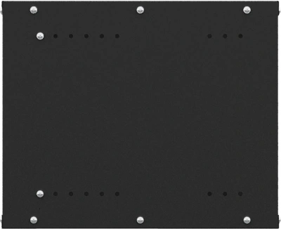 Шкаф коммутационный NTSS Lime (NTSS-WL9U5545GS-BL) настенный 9U 550x450мм пер.дв.стекл несъемн.бок.пан. 30кг черный 370мм 12кг 110град. 500мм IP20 сталь