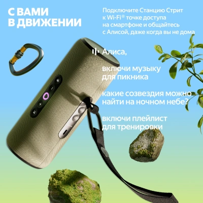 Умная колонка Yandex Стрит Алиса оранжевый 30W 2.0 BT/Wi-Fi 10м 3300mAh (YNDX-00030ORG)