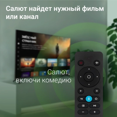 Телевизор LED Digma 43" DM-LED43UBB40 Салют ТВ Frameless Metal черный 4K Ultra HD 60Hz DVB-T DVB-T2 DVB-C DVB-S DVB-S2 USB WiFi Smart TV