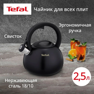 Чайник металлический Tefal Intuition N4180417 2.5л. черный (3110601825)