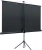 Экран Lumien 100" 130x227см Eco Picture LEV-100115 16:9 напольный натяжной черный Экран Lumien 100" 130x227см Eco Picture LEV-100115 16:9 напольный натяжной черный