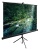 Экран Cactus 108" 165x220см TriExpert CS-PSTE-220x165-BK 4:3 напольный рулонный черный