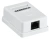 Розетка ITK CS2-1C5EU-12-G настенная 49.2x65.5x25.2мм RJ45 пластик белый Розетка ITK CS2-1C5EU-12-G настенная 49.2x65.5x25.2мм RJ45 пластик белый