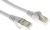 Патч-корд Lanmaster FTP TWT-45-45-5.0/S6-GY RJ-45 вил.-вилка RJ-45 кат.6 5м серый ПВХ Патч-корд Lanmaster FTP TWT-45-45-5.0/S6-GY RJ-45 вил.-вилка RJ-45 кат.6 5м серый ПВХ