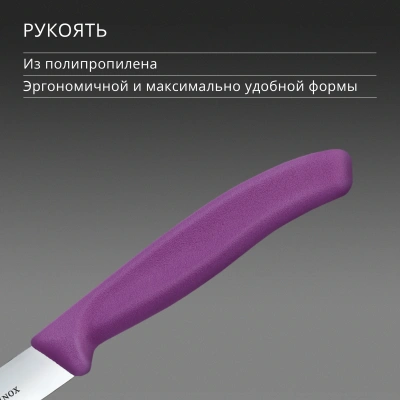 Нож кухонный Victorinox Swiss Classic (6.7705.C1) стальной универсальный для чистки овощей и фруктов лезв.100мм прямая заточка пурпурный