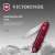 Нож перочинный Victorinox Onefold Alox (0.8006.20) 93мм 2функц. красный карт.коробка Нож перочинный Victorinox Onefold Alox (0.8006.20) 93мм 2функц. красный карт.коробка