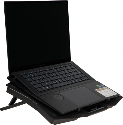 Подставка для ноутбука Digma D-NCP180-2x110 18" 410x280x34мм 20дБ 2xUSB 2x 110ммFAN 700г пластик ABS черный