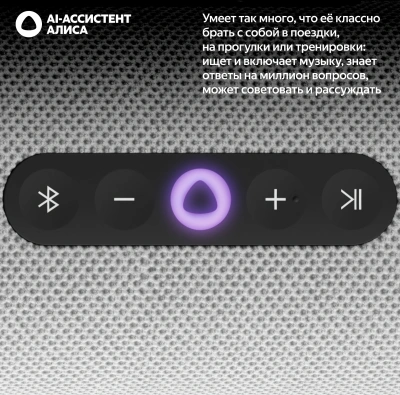 Умная колонка Yandex Станция Стрит Алиса серый 30W 2.0 BT/Wi-Fi 10м 3300mAh (YNDX-00030GRY)