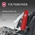 Нож перочинный Victorinox Bantam (0.2303) 84мм 8функц. красный карт.коробка Нож перочинный Victorinox Bantam (0.2303) 84мм 8функц. красный карт.коробка