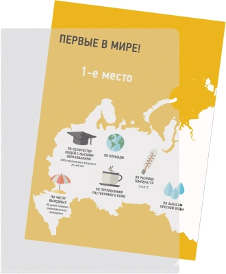 Папка-уголок Silwerhof SE-E120/CLEAR тисненый A4 пластик 0.12мм прозрачный