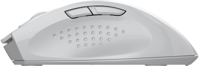 Мышь A4Tech Fstyler FG55S Plus белый оптическая 3200dpi беспров. USB 7but
