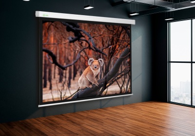 Экран Cactus 135" 168x299см Wallscreen CS-PSW-168x299 16:9 настенно-потолочный рулонный белый