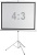 Экран 150x200см Digis Kontur-D DSKD-4303 4:3 напольный рулонный Экран 150x200см Digis Kontur-D DSKD-4303 4:3 напольный рулонный