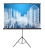 Экран Cactus 84" 104.4x186см Triscreen CS-PST-104x186 16:9 напольный рулонный черный Экран Cactus 84" 104.4x186см Triscreen CS-PST-104x186 16:9 напольный рулонный черный