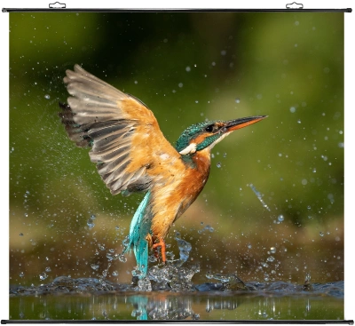 Экран Cactus 84" 150x150см Map type CS-PSRM-150x150-BK 1:1 настенно-потолочный рулонный черный