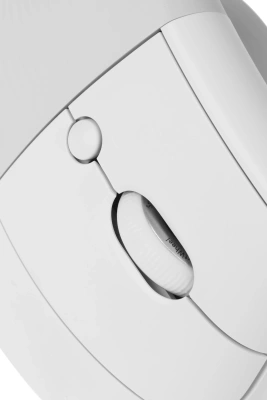 Мышь Logitech Lift белый оптическая 4000dpi silent беспров. BT/Radio USB для ноутбука 5but (910-006486)