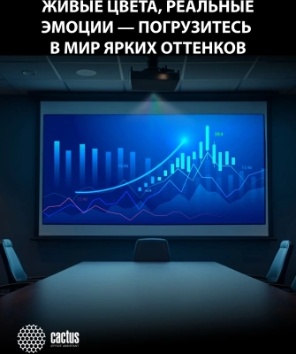 Проектор Cactus Bright CS-S4.B 3LCD 94400Lm LS 5900Lm ANSI (1920x1200) 30000:1 ресурс лампы:10000часов 1xUSB typeA 1xUSB typeB 2xHDMI 4.45кг