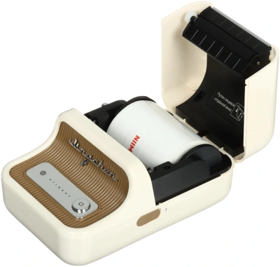 Термопринтер Niimbot B21S (1746728) 203dpi 60мм/с/USB/BT для печ.этик. белый